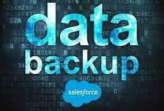 Salesforce data backup