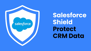 Salesforce Shield Data Monitoring and Encryption