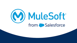 Salesforce Mulesoft Explained