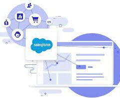 connect Salesforce to external APIs