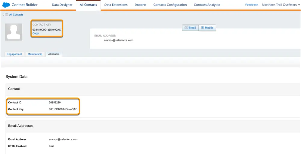 What is the Contact Key in Salesforce?