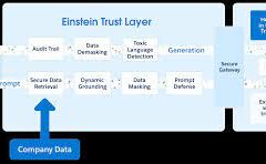 Salesforce Einstein AI Trust Layer