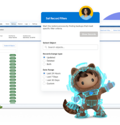 Salesforce Backup and Recovery