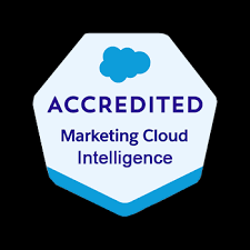 Marketing Cloud Intelligence