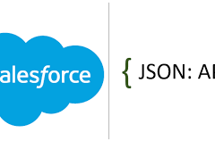 Salesforce JSON