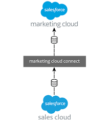 Difference Between Salesforce Sales Cloud and Salesforce Marketing Cloud