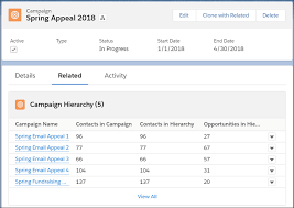 Set Up Campaigns in Salesforce