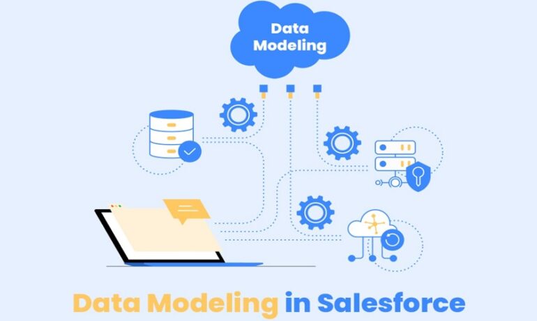 Salesforce Data Model
