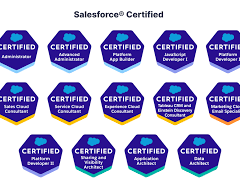 Certified Salesforce Consultants