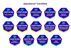Certified Salesforce Consultants