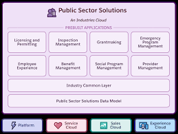 Public Sector Solutions Record Aggregation