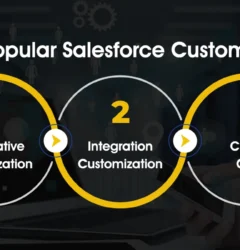 Salesforce Customization Steps