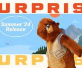 Summer 24 Salesforce Customization Release Notes