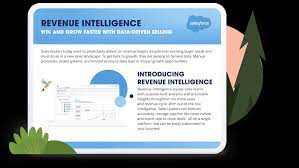 Salesforce Revenue Intelligence