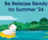 Salesforce Summer 24 Data Cloud Release