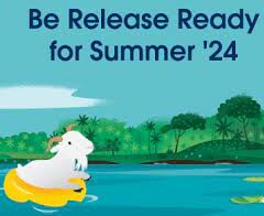 Salesforce Summer 24 Flow Release