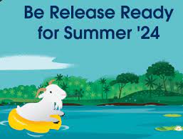 Salesforce Summer 24 Flow Release