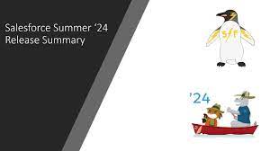 Salesforce Summer 24 Service Release