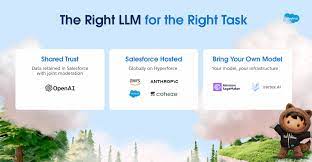 Salesforce and Google LLMs