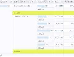 Summary Formulas and Row Level Formulas