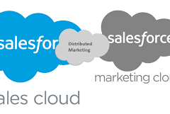 What is Distributed Marketing in Salesforce