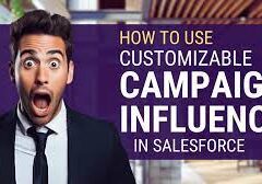 Customizable Campaign Influence