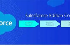 Salesforce Essentials and Salesforce Professional