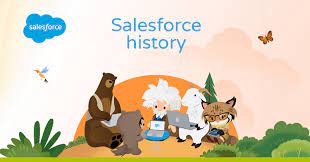 The Salesforce Story