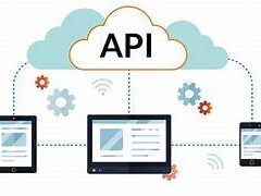 APIs and Software Development