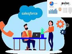 Pulse for Salesforce