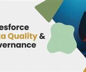 Data Governance in Salesforce