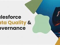 Data Governance in Salesforce