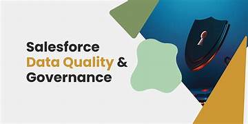 Data Governance in Salesforce