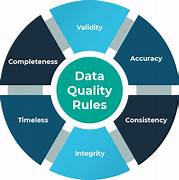 Data  Quality Critical