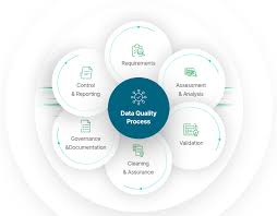 Data Quality Management Process