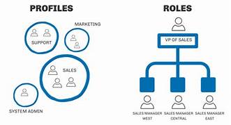 Managing Salesforce Roles and Profiles