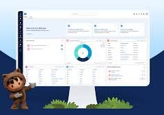 Salesforce Foundations Announced