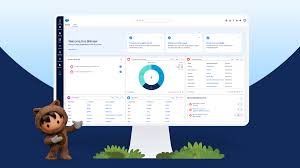 Salesforce Foundations Announced