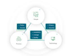 Data Governance Frameworks