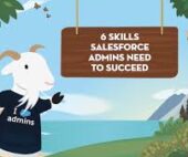 Necessary Salesforce Admin Skills