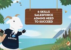 Necessary Salesforce Admin Skills