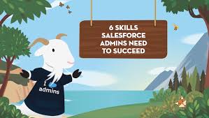 Necessary Salesforce Admin Skills