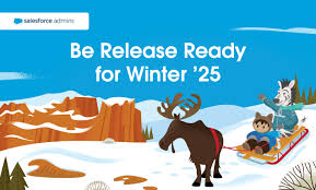 Energy and Utilities with Salesforce Winter 25 Updates