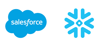 Salesforce Data Snowflake and You