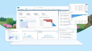 Salesforce Enhanced Analytics