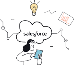 salesforce ddp