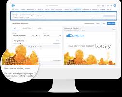 Salesforce Marketing Cloud Distributed Marketing
